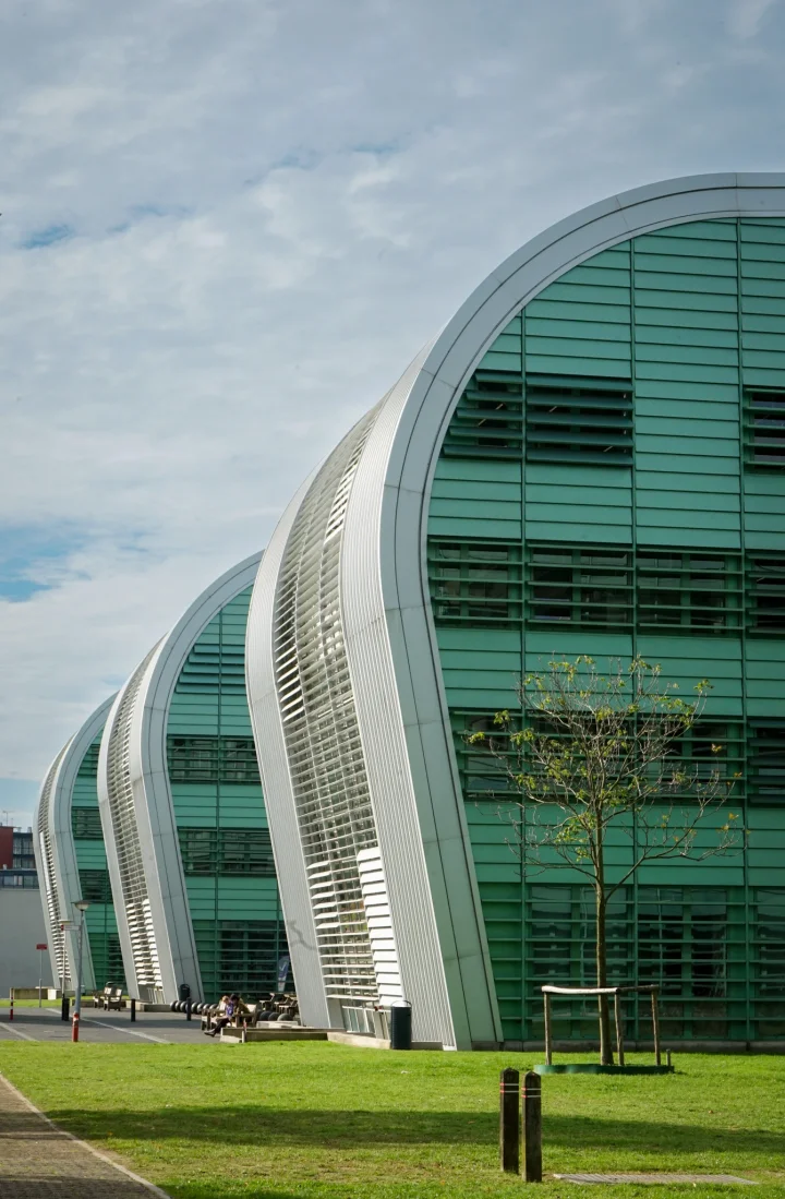 Lines and Light - Image 4