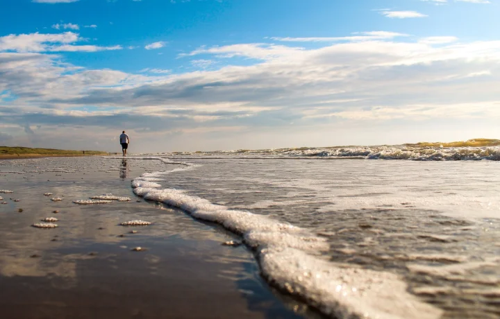 Nature photography - Image 6