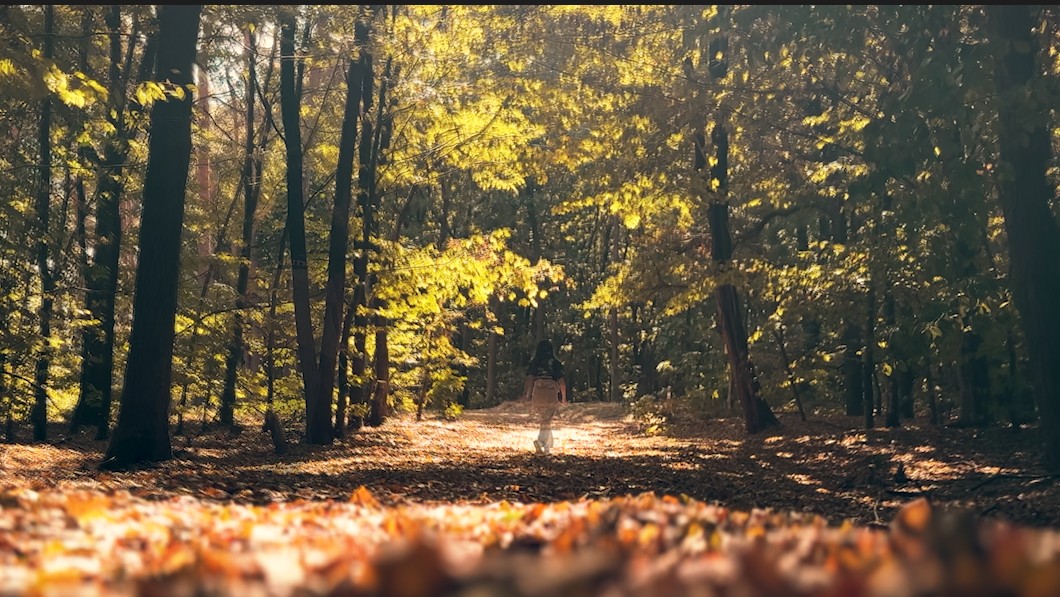 Stillness-short pratice video